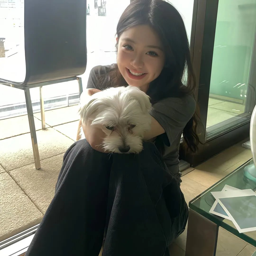 光之城的战斗联盟