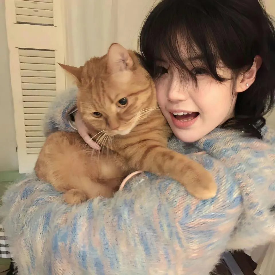 蜡笔小新:我的搬家物语 仙人掌大袭击